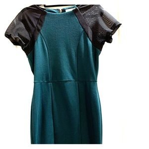 Anthropology Renvy Sheath Green Dress